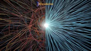 Startup operations transformation - HR and process consulting