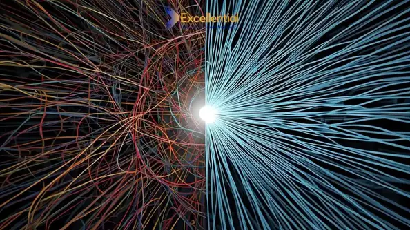 Startup operations transformation - HR and process consulting